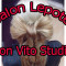 Salon lepote Don Vito Studio